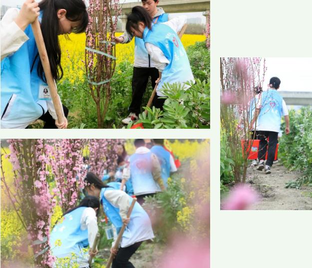 四川科创技工学校植树节